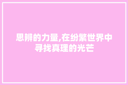 思辨的力量,在纷繁世界中寻找真理的光芒