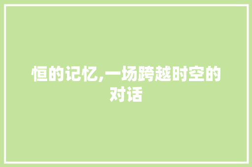 恒的记忆,一场跨越时空的对话