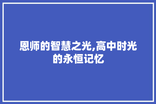 恩师的智慧之光,高中时光的永恒记忆