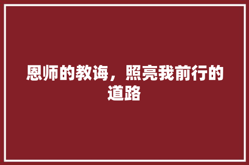 恩师的教诲，照亮我前行的道路