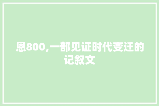 恩800,一部见证时代变迁的记叙文