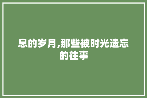 息的岁月,那些被时光遗忘的往事