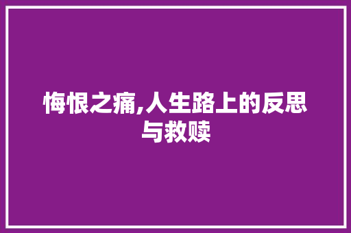 悔恨之痛,人生路上的反思与救赎