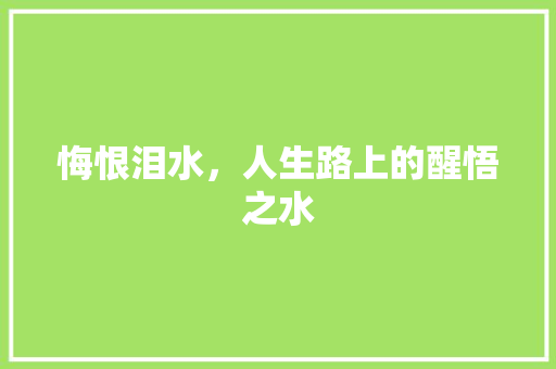 悔恨泪水，人生路上的醒悟之水