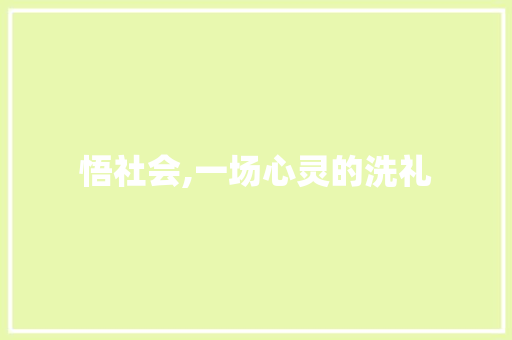 悟社会,一场心灵的洗礼