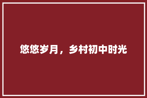 悠悠岁月，乡村初中时光