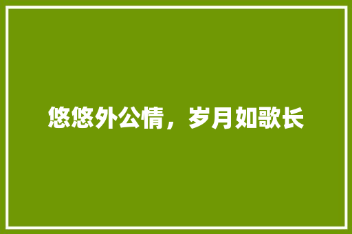 悠悠外公情，岁月如歌长