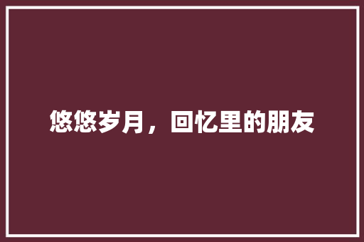 悠悠岁月，回忆里的朋友