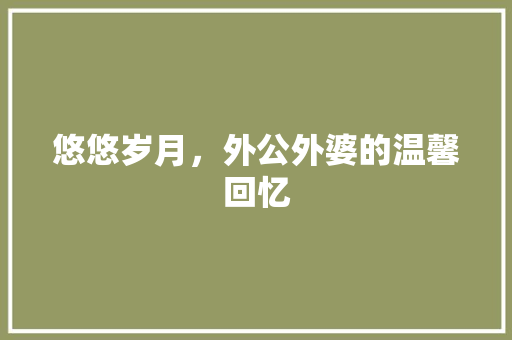 悠悠岁月，外公外婆的温馨回忆