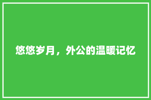 悠悠岁月，外公的温暖记忆