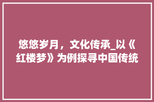 悠悠岁月，文化传承_以《红楼梦》为例探寻中国传统文化的魅力