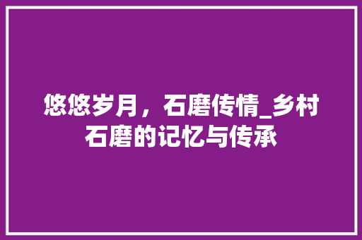 悠悠岁月，石磨传情_乡村石磨的记忆与传承