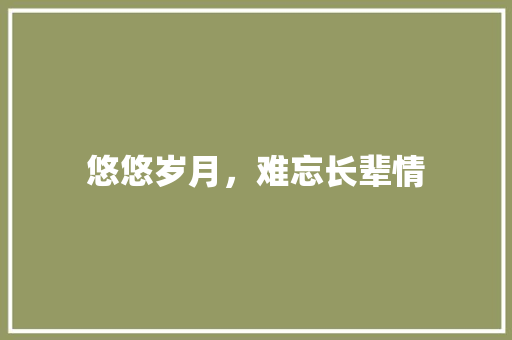 悠悠岁月，难忘长辈情