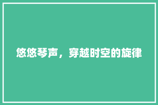 悠悠琴声，穿越时空的旋律