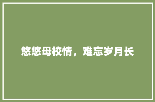 悠悠母校情，难忘岁月长