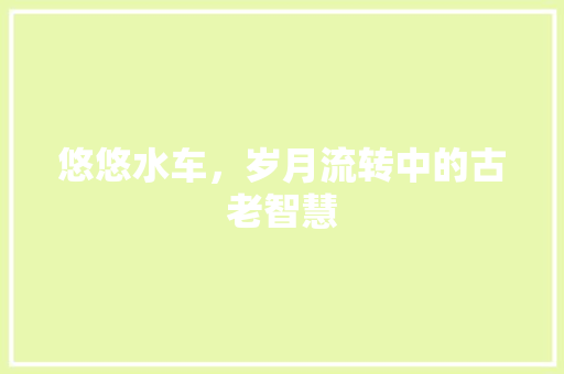 悠悠水车，岁月流转中的古老智慧