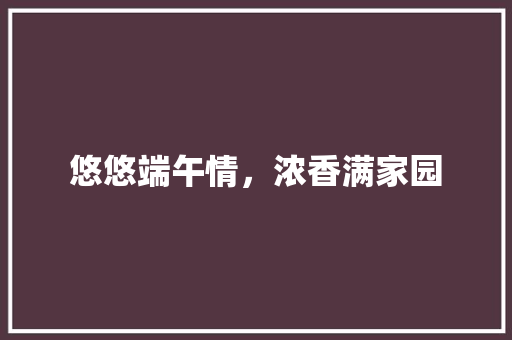 悠悠端午情，浓香满家园