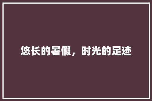 悠长的暑假，时光的足迹