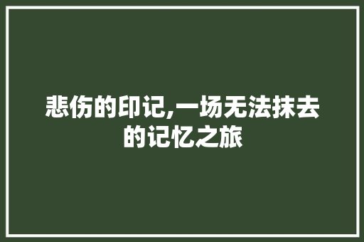 悲伤的印记,一场无法抹去的记忆之旅