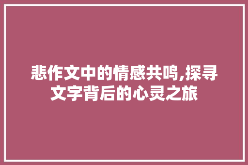 悲作文中的情感共鸣,探寻文字背后的心灵之旅