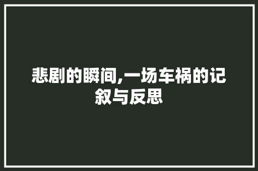 悲剧的瞬间,一场车祸的记叙与反思