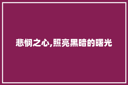 悲悯之心,照亮黑暗的曙光