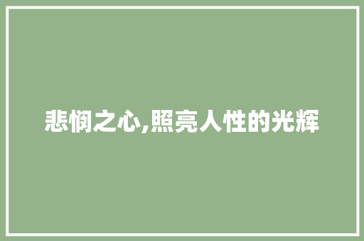 悲悯之心,照亮人性的光辉