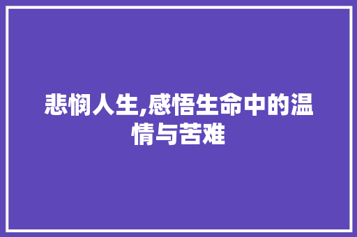 悲悯人生,感悟生命中的温情与苦难