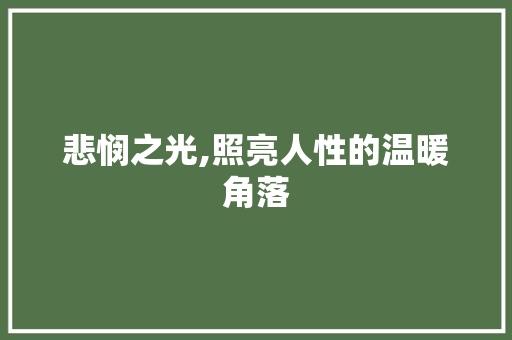 悲悯之光,照亮人性的温暖角落