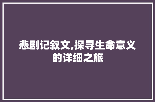 悲剧记叙文,探寻生命意义的详细之旅