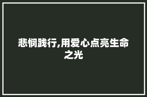 悲悯践行,用爱心点亮生命之光