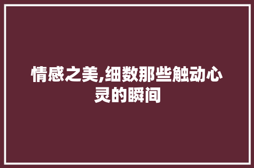 情感之美,细数那些触动心灵的瞬间