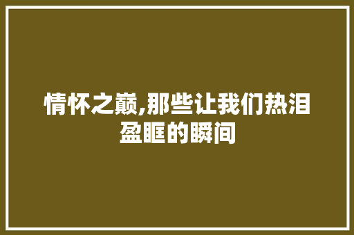 情怀之巅,那些让我们热泪盈眶的瞬间