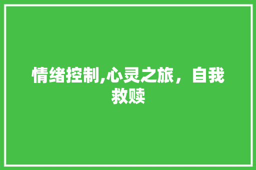 情绪控制,心灵之旅，自我救赎