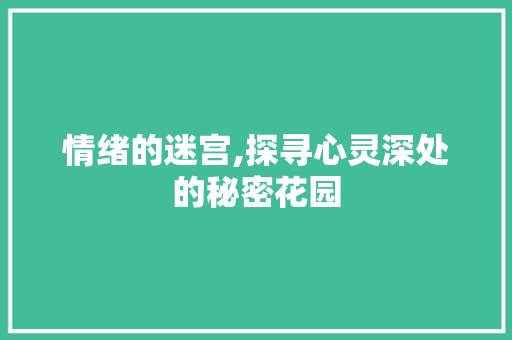 情绪的迷宫,探寻心灵深处的秘密花园