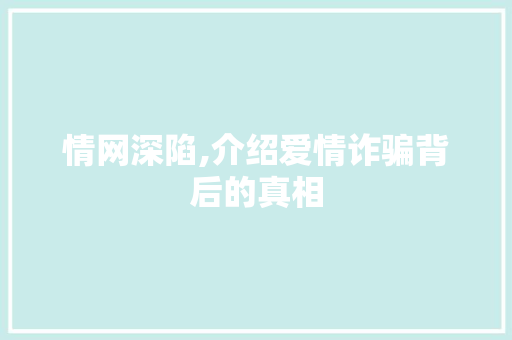 情网深陷,介绍爱情诈骗背后的真相