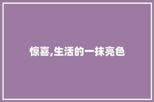 惊喜,生活的一抹亮色