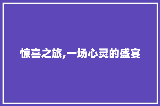 惊喜之旅,一场心灵的盛宴