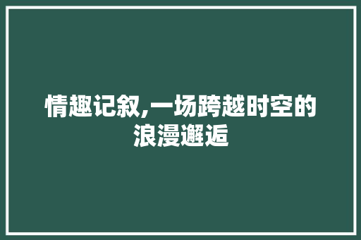 情趣记叙,一场跨越时空的浪漫邂逅