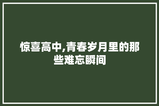 惊喜高中,青春岁月里的那些难忘瞬间