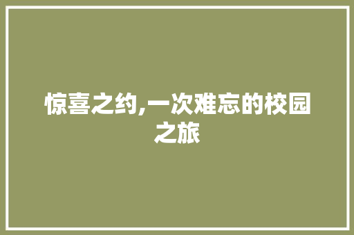 惊喜之约,一次难忘的校园之旅