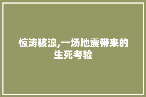 惊涛骇浪,一场地震带来的生死考验