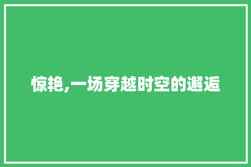 惊艳,一场穿越时空的邂逅