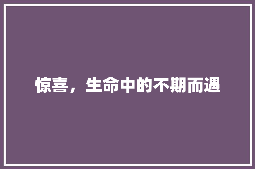 惊喜，生命中的不期而遇