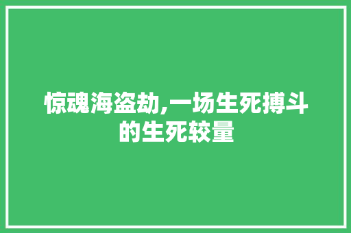 惊魂海盗劫,一场生死搏斗的生死较量