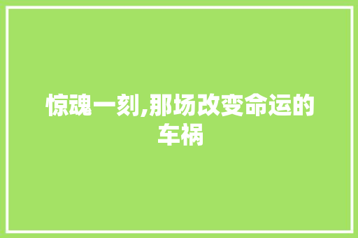 惊魂一刻,那场改变命运的车祸