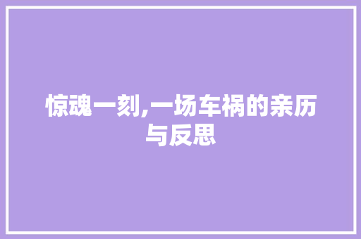 惊魂一刻,一场车祸的亲历与反思