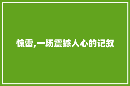 惊雷,一场震撼人心的记叙