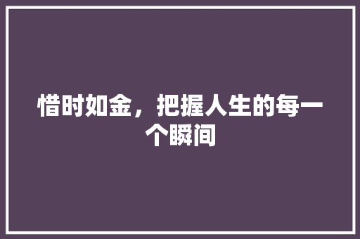 惜时如金，把握人生的每一个瞬间