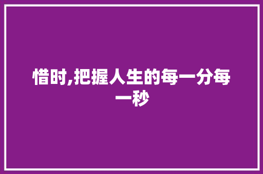 惜时,把握人生的每一分每一秒